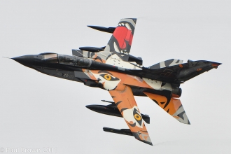 RIAT2011-28
