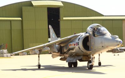 Harrier-11