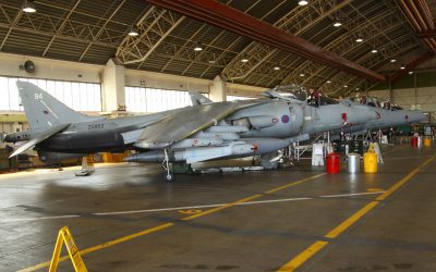 Harrier-14