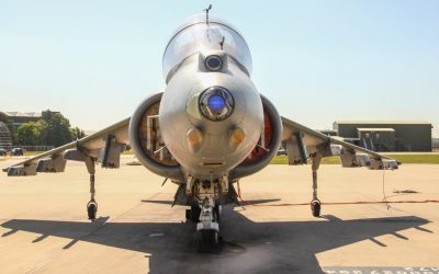 Harrier-2