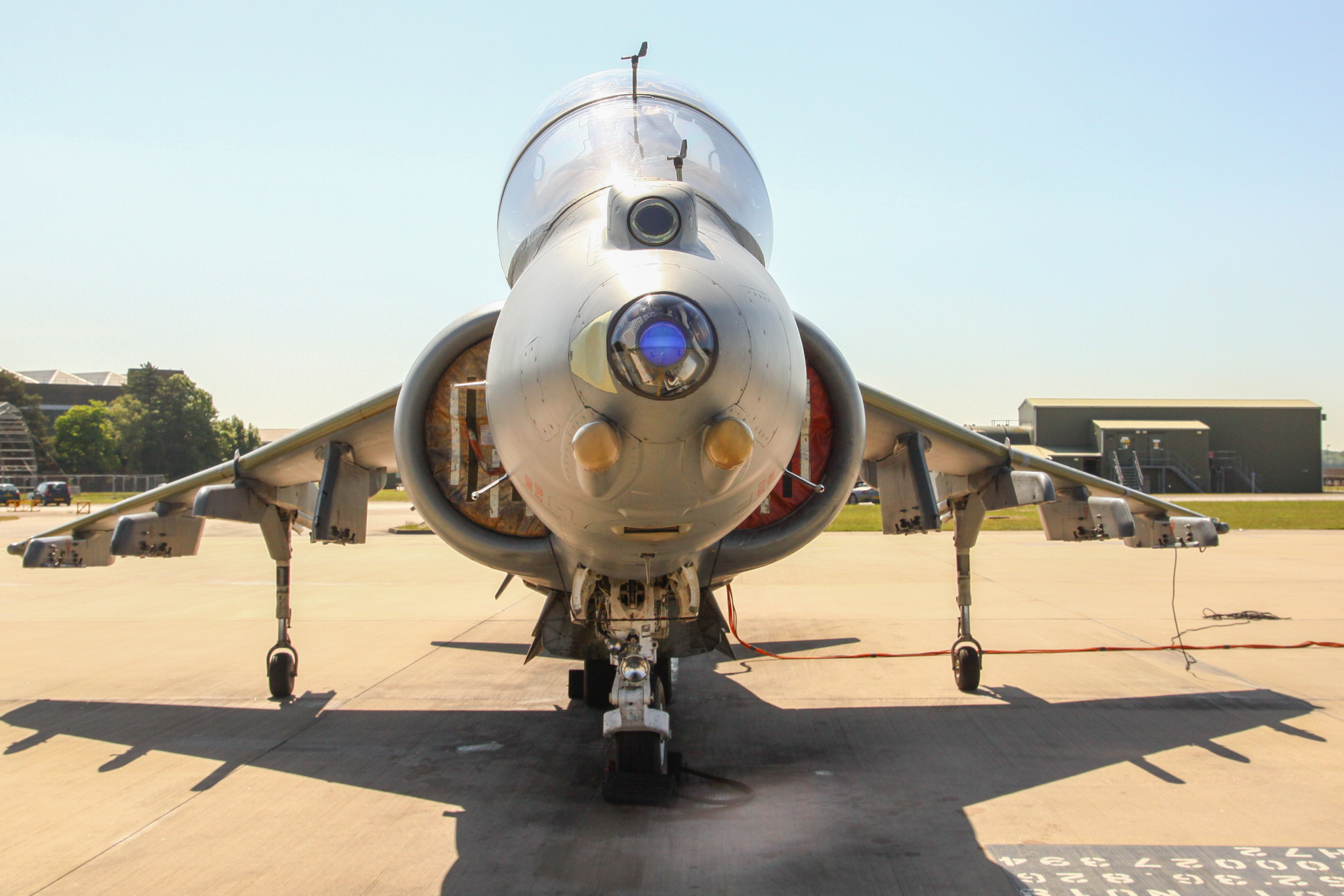 Harrier-2