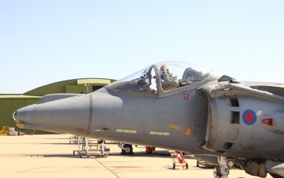 Harrier-4