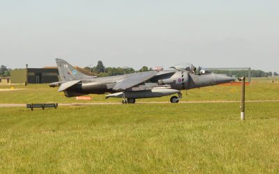 Harrier-8
